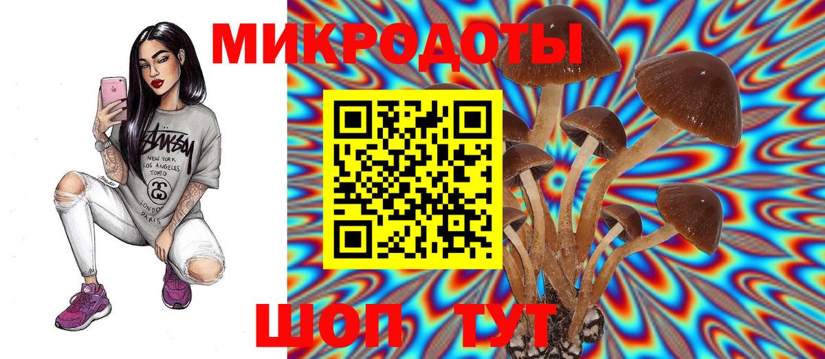 закладка  Галлюциногенные грибы GOLDEN TEACHER  Вход с VPN  Галлюциногенные грибы мицелий  Саянск 